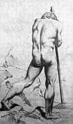 Studium Akademii - Nu Masculino